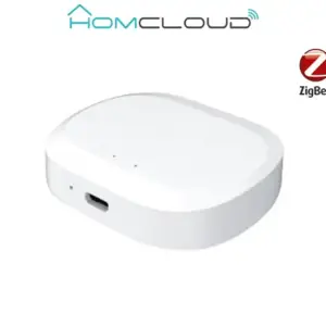 Centralina intelligente Hub Termovalvole - Zigbee+Bluetooth